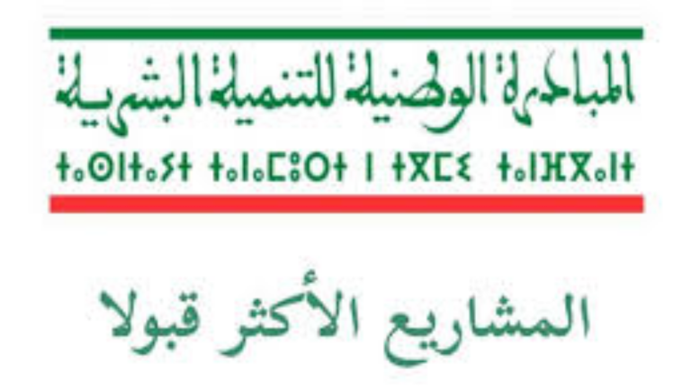 المغرب يعلن عن دعم 10 مليون سنتيم لإنشاء مشروع صغير سنة 2025